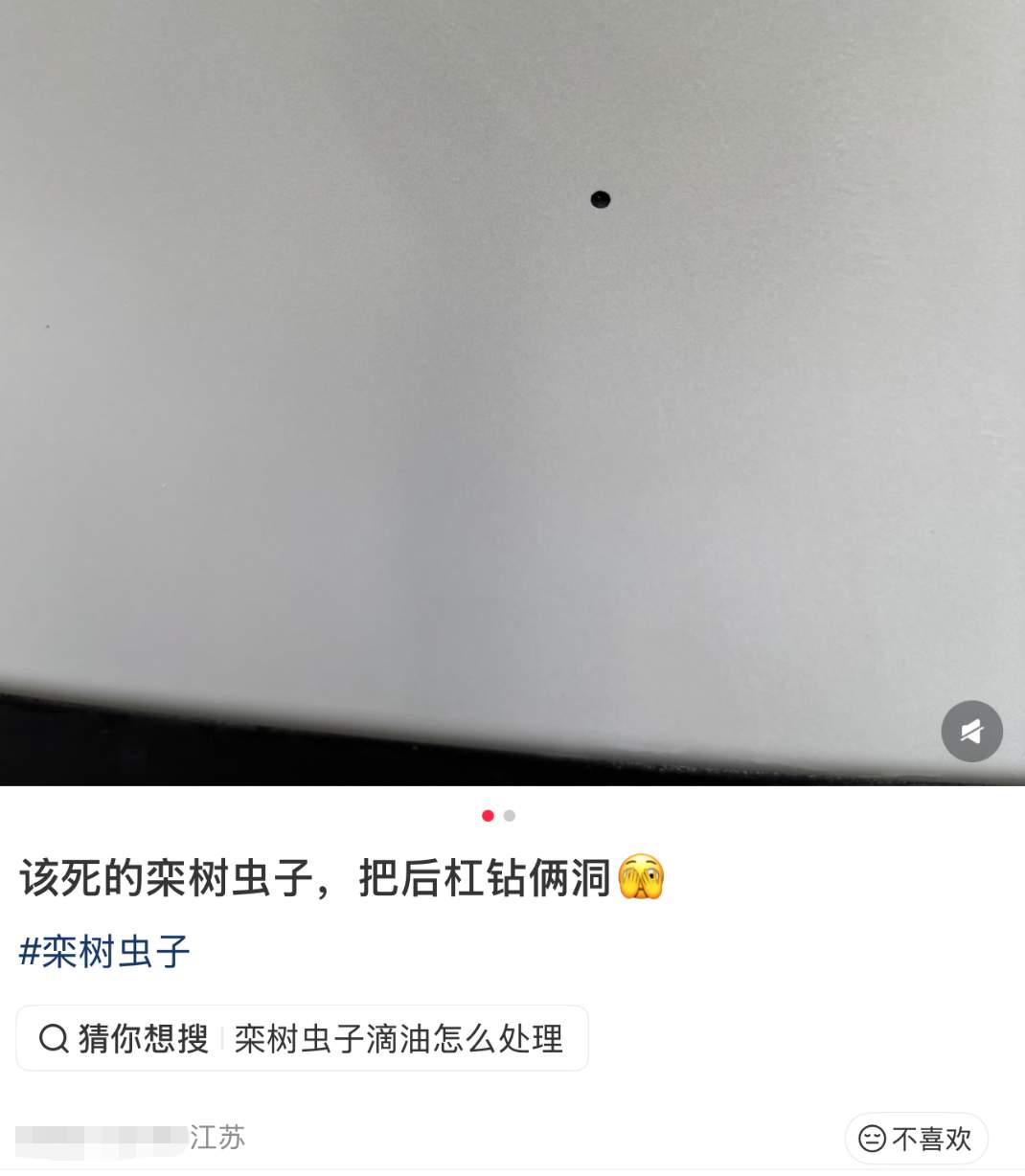 车上莫名其妙出现小圆洞，不少人已“中招”，专家提醒