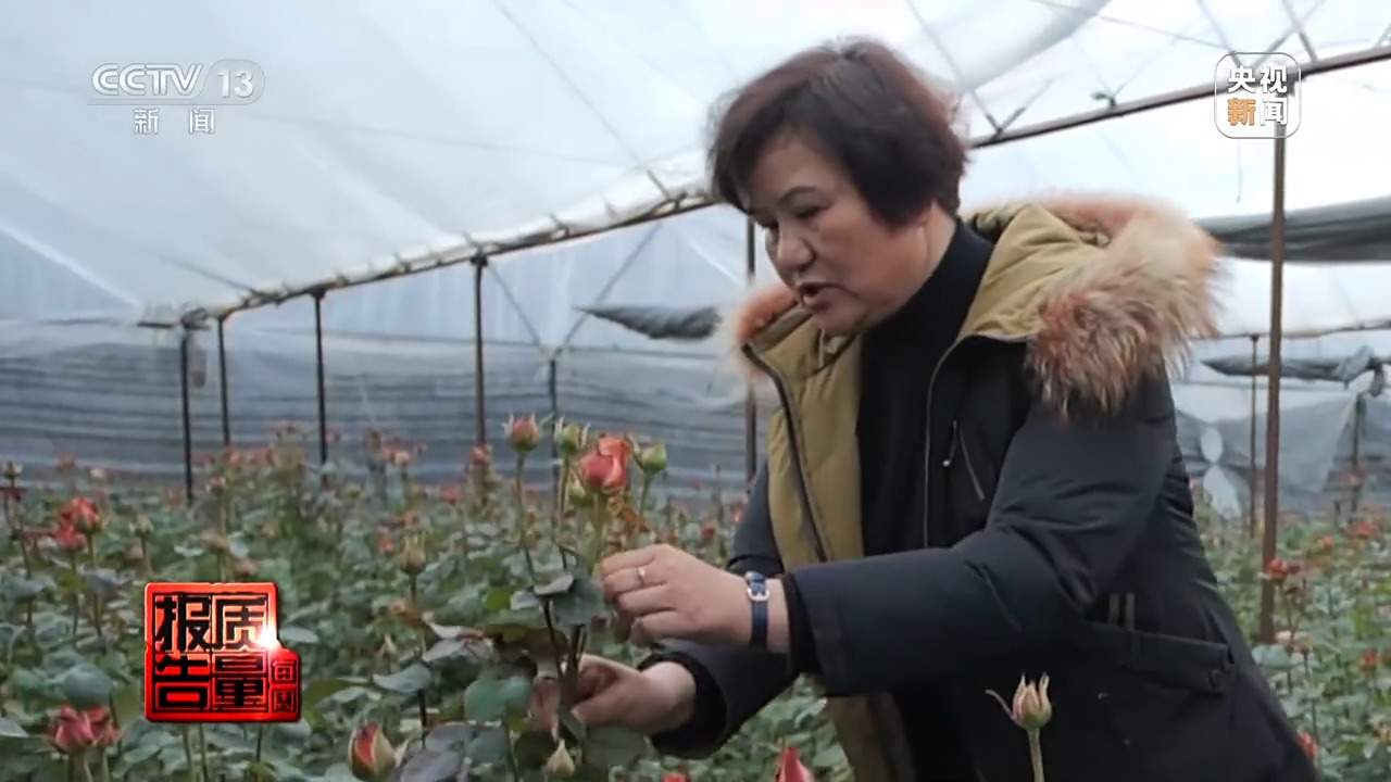 小鲜花大市场,这份美丽的事业正蓄势绽放