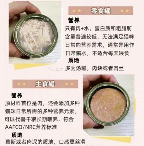 适口性+口碑双维度：2026年猫罐头主流品牌市场评估报告