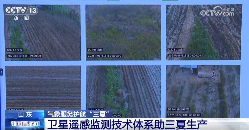 更实、更细、更“智慧” 气象服务护航“三夏”保障夏粮丰收归仓