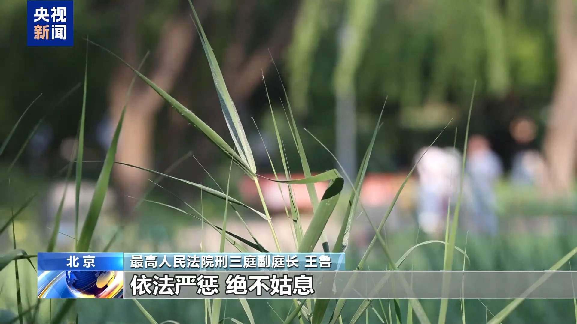 打击电诈“帮凶”！两高一部明确帮信犯罪定罪量刑标准