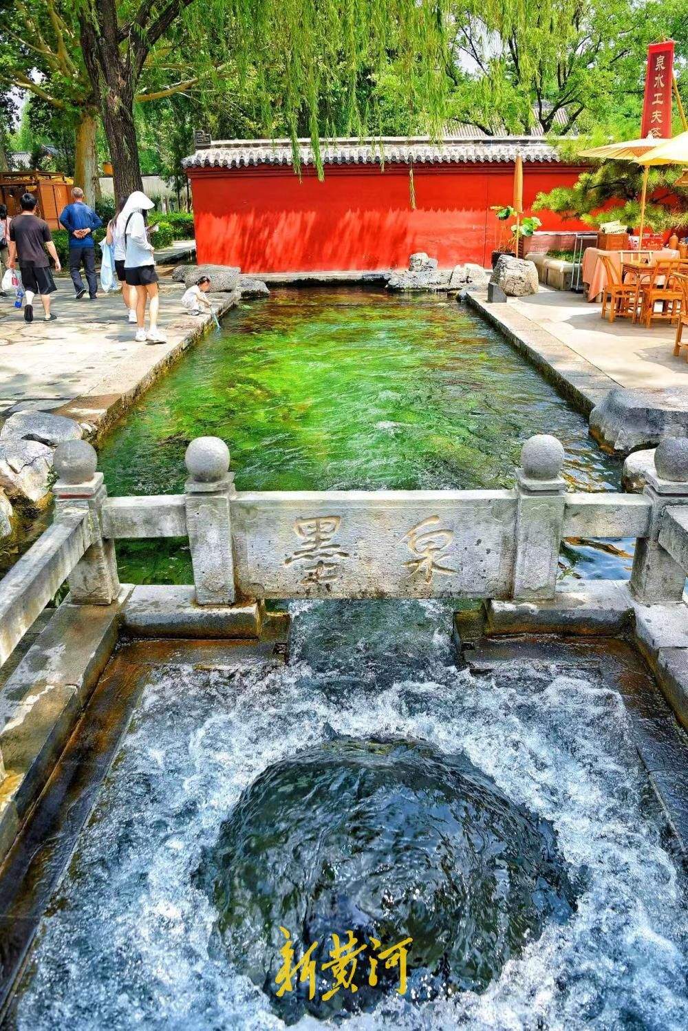 一年四季 泉在济南丨观泉消暑正当时 墨泉喷涌盛景尽显泉城气韵