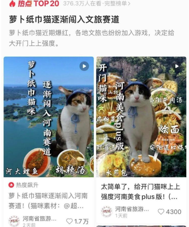 “萝卜纸巾猫”爆火，多地文旅火速加入，网友：可爱到上头