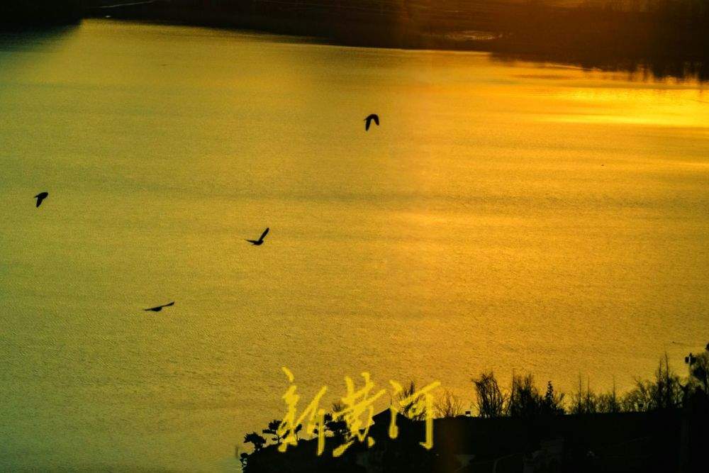“泉”在济南冬游记｜碧波荡漾！冬日雪野湖美如画