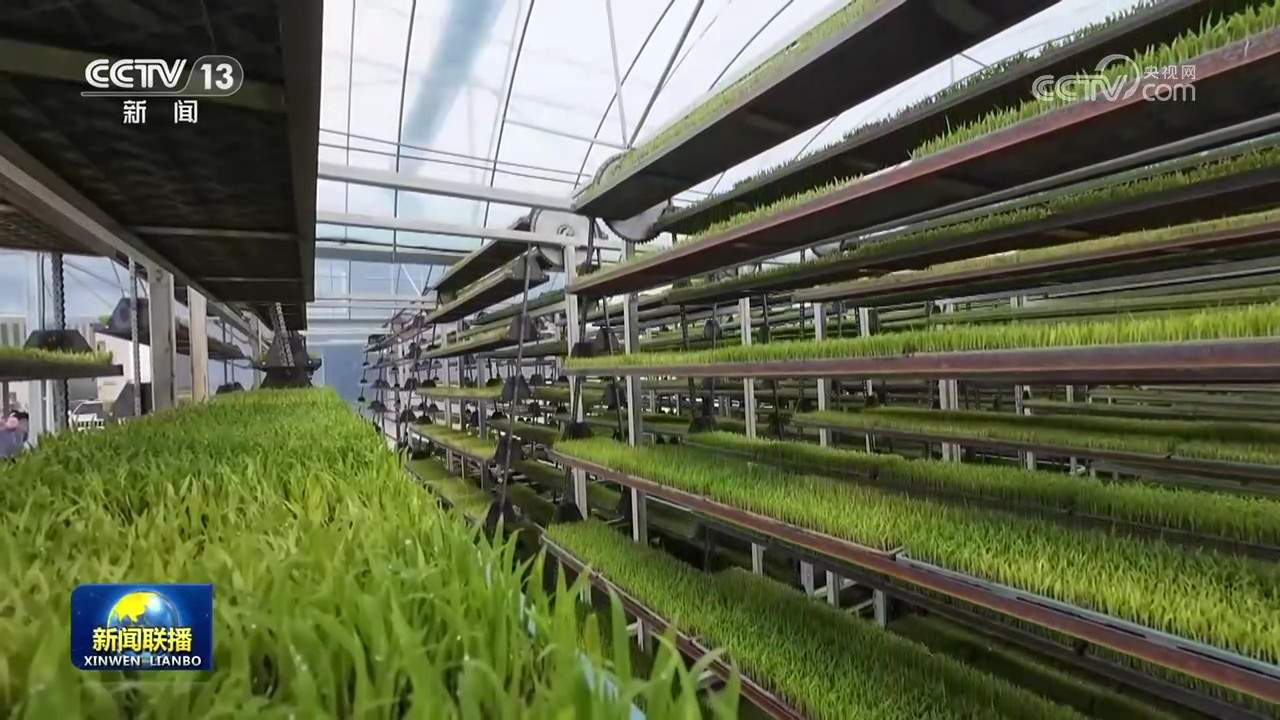 【在希望的田野上】科技赋能 让春耕春管更高效