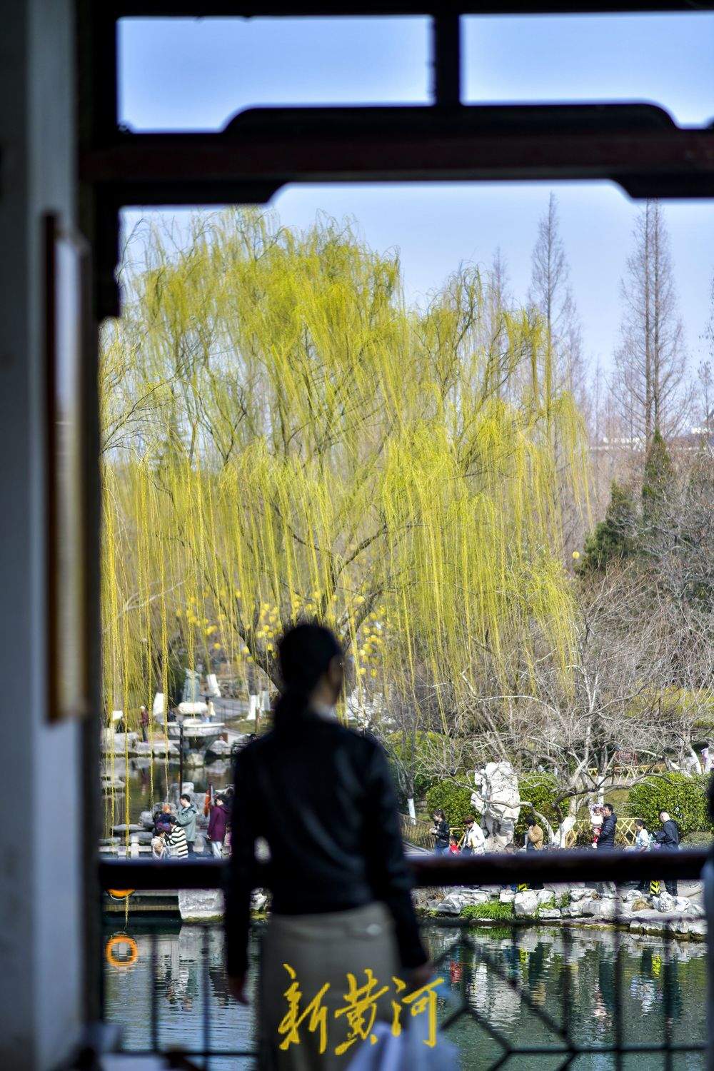 仲春时节开启“追花游”，济南踏青赏花热度攀升