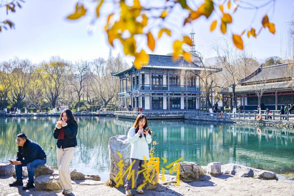 “泉”在济南冬游记｜泉城冬日暖意融融，泉池宛如水墨丹青画 