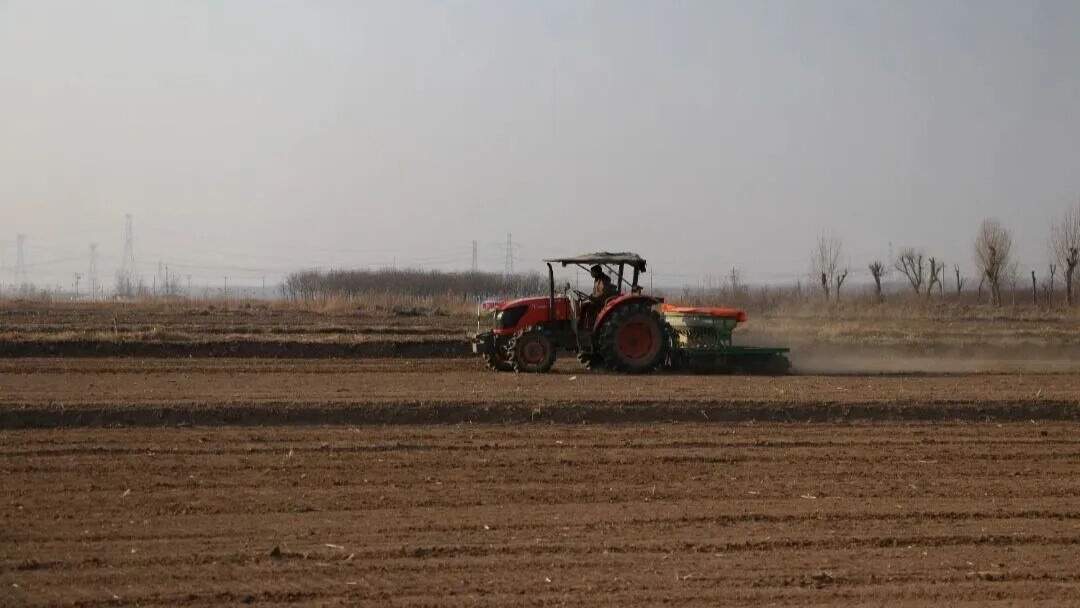 热潮涌动吹响实干“冲锋号” “马”力全开奋战新春“开门红”