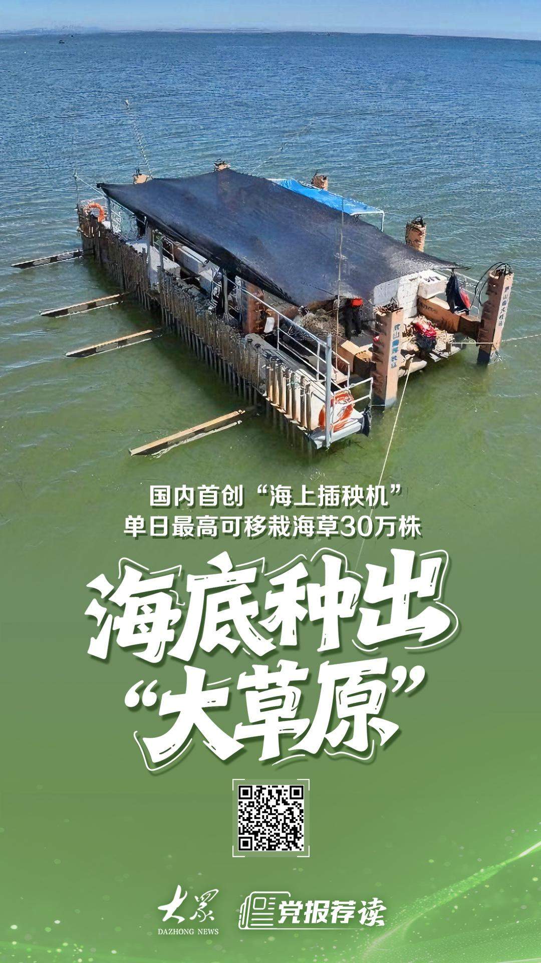 山东人把“插秧机”开到海上，在海底种出“大草原”