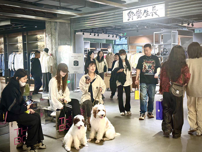 不按套路出牌 撬动商业新模式