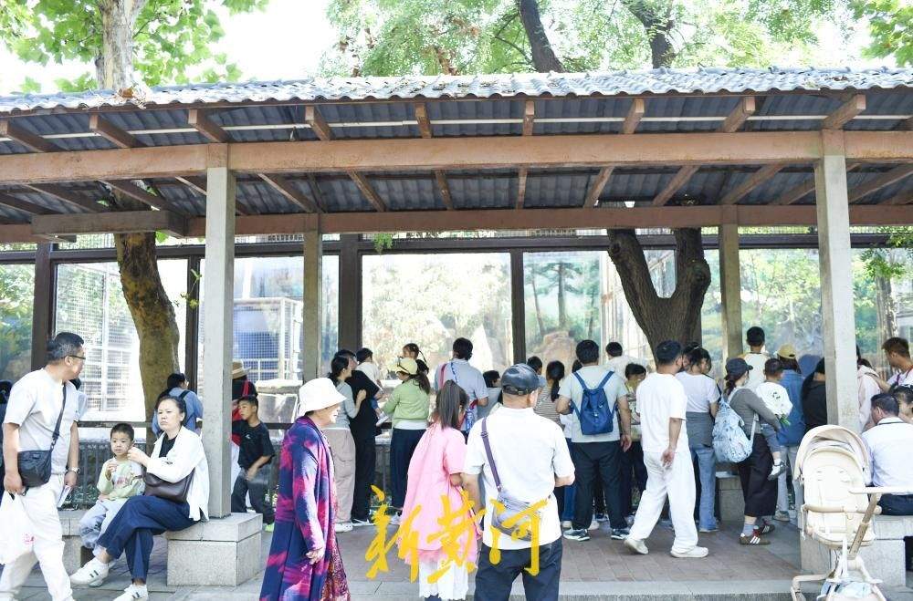 济南动物园成“遛娃胜地”，全家出游乐享亲子时光