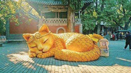 灵岩银杏季上新在地艺术装置“灵岩灵猫”