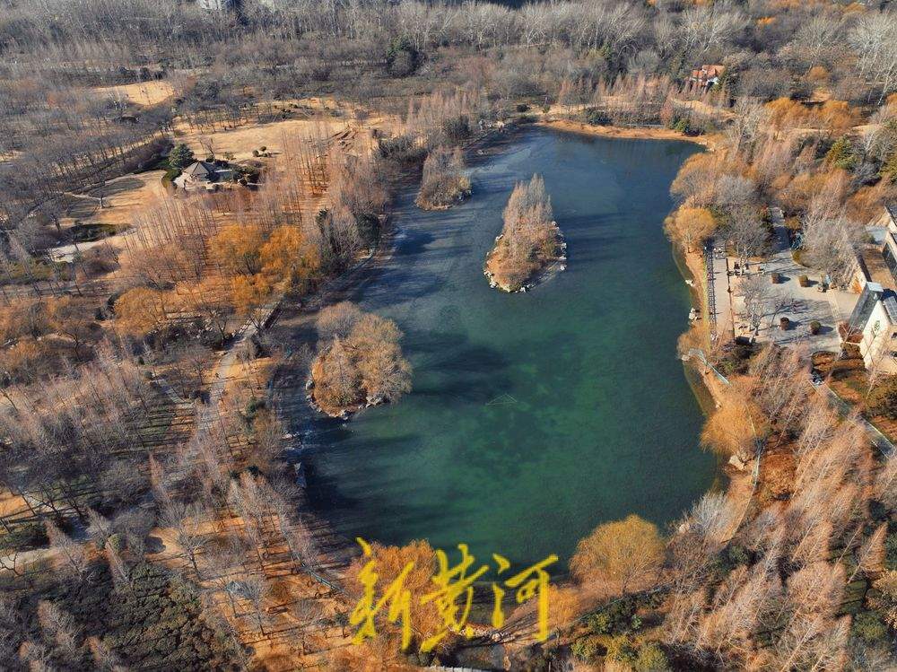 “泉”在济南冬游记｜济南森林公园冬䪨如诗