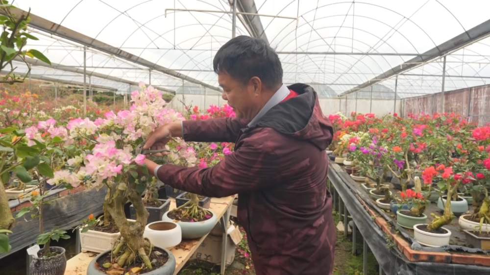 小城大市｜花开“富贵”：一座西部县城的鲜花经济跃迁之路