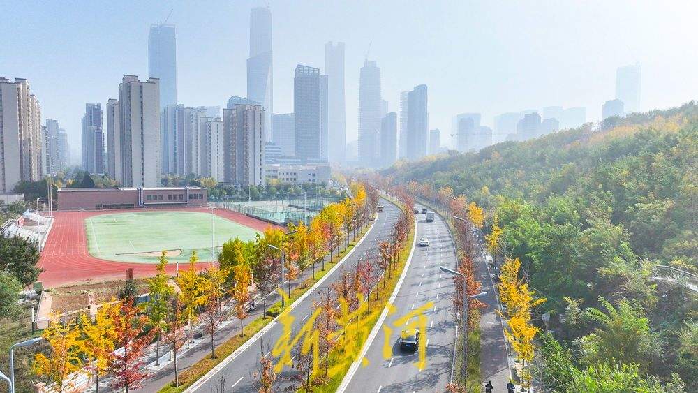 一年四季 泉在济南丨在济南CBD打卡深秋最美赏叶路