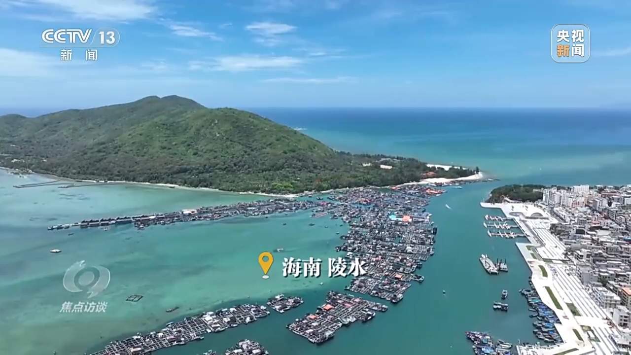 焦点访谈丨保护海洋生态 守好人海和谐的蓝色家园