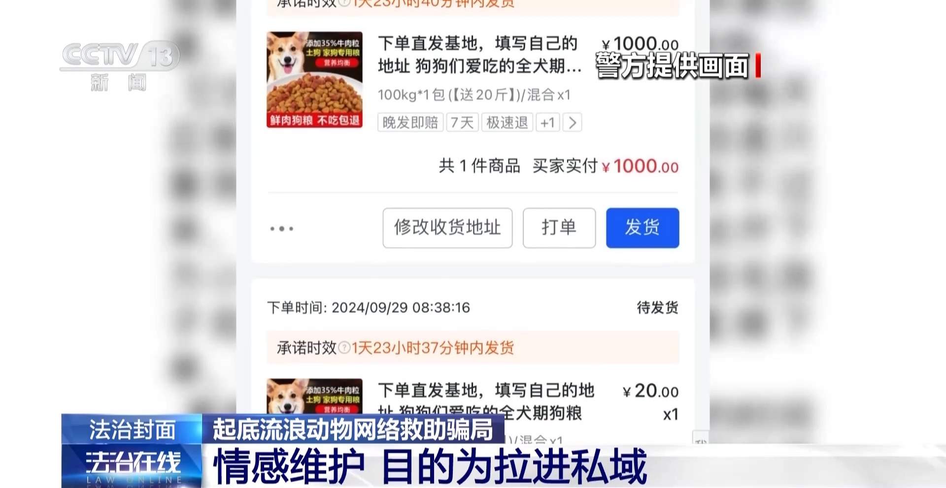骗250万善款仅3000元用在狗身上 起底流浪动物网络救助骗局