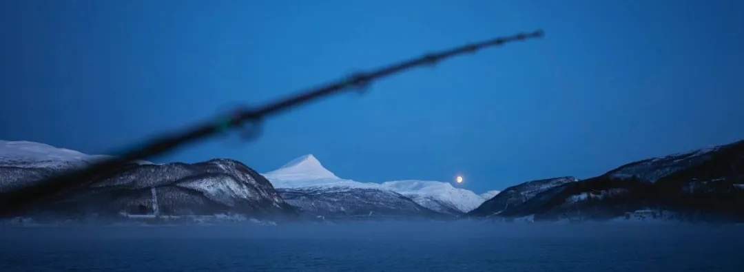 火爆全网的“派大星”博士，找到啦！