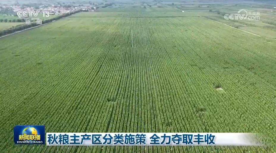 秋粮主产区分类施策 全力夺取丰收