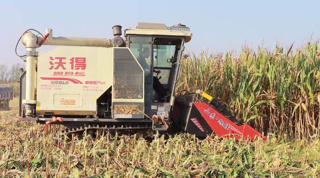 无人机腾空“抢金”,科技秋收加速