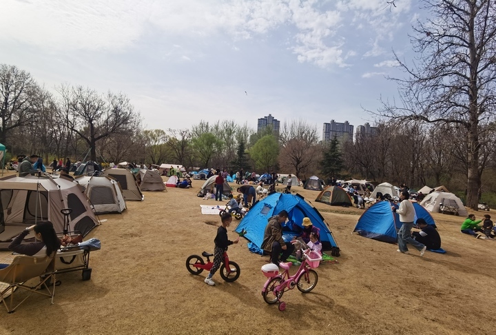 泉在济南过五一丨济南森林公园共享绿地第一届帐篷文化节火热开启