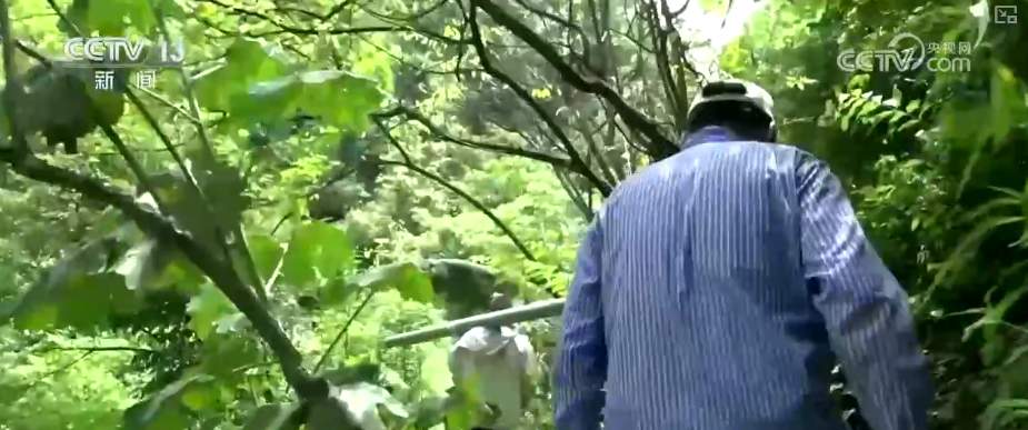 严控恶意涨租、治理“串串房”“隔断房”……租房新规来了！