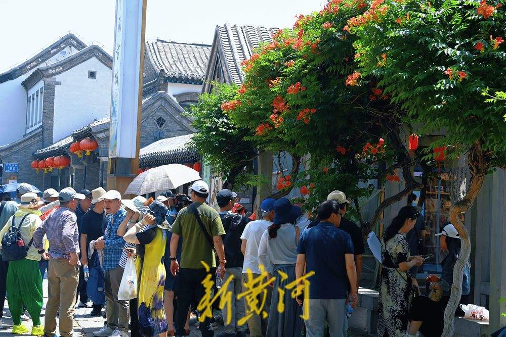 初夏浪漫！百花洲凌霄花开火红热烈