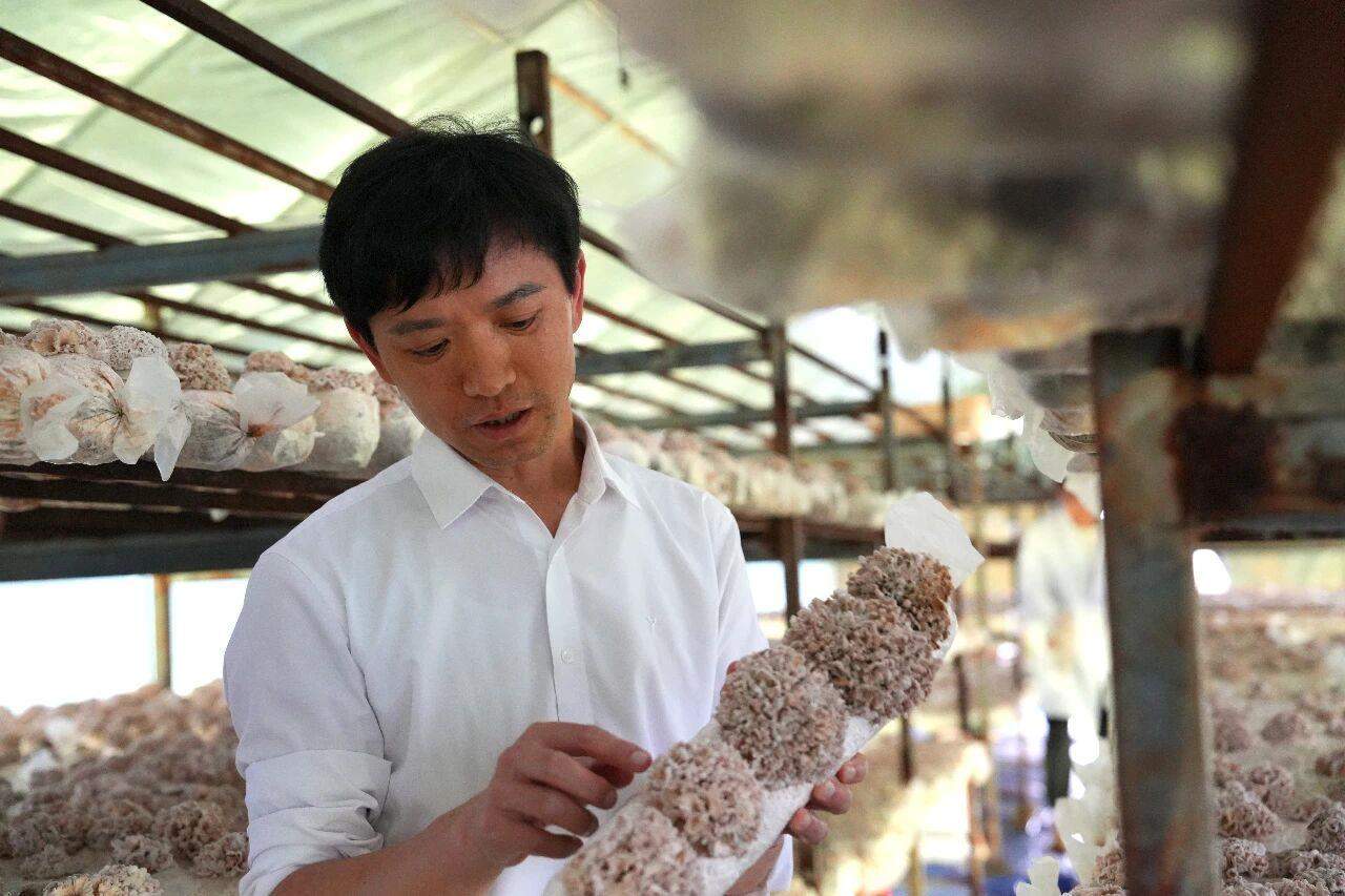 全网追更的“果菌王”，可以开吃了！