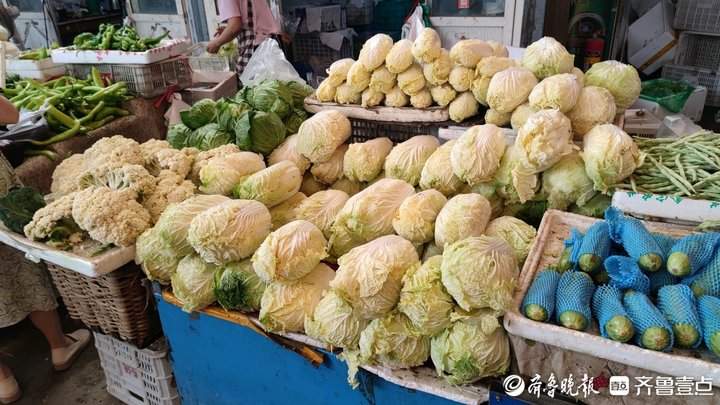有青叶菜单价破十！济南多种蔬菜价格上涨，何时变回“家常菜”？