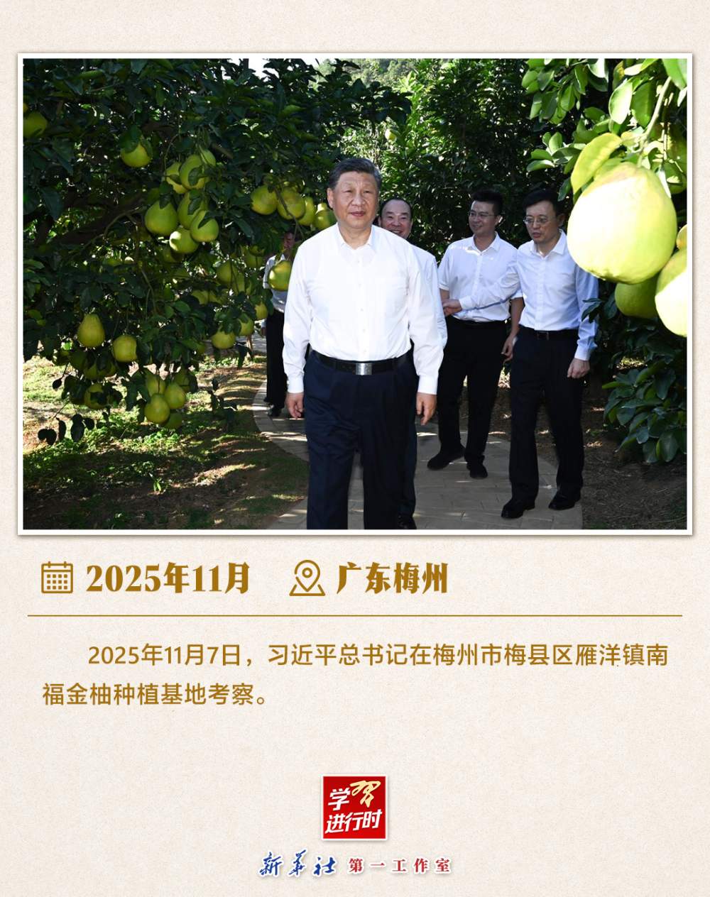 学习进行时｜感悟总书记的“三农情怀”