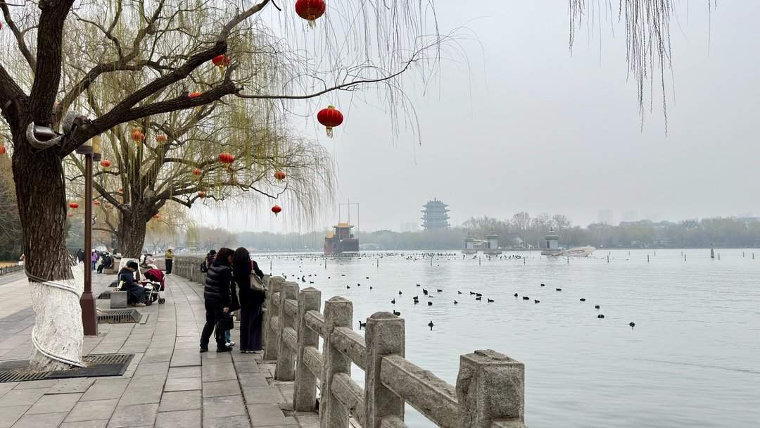 清风柳绿，春到大明湖