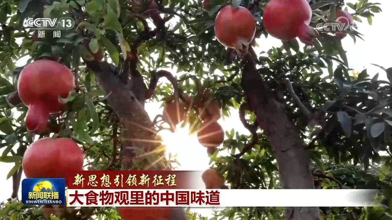 【新思想引领新征程】大食物观里的中国味道