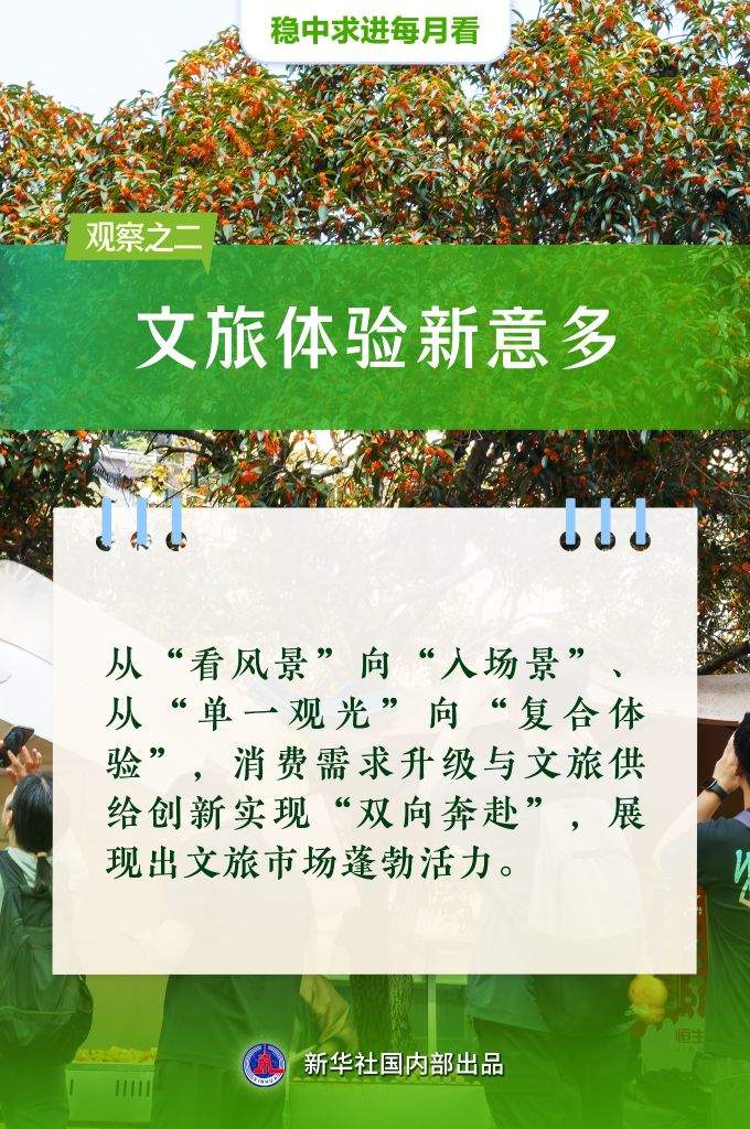 稳中求进每月看丨阔步前行展新姿——10月全国各地经济社会发展观察