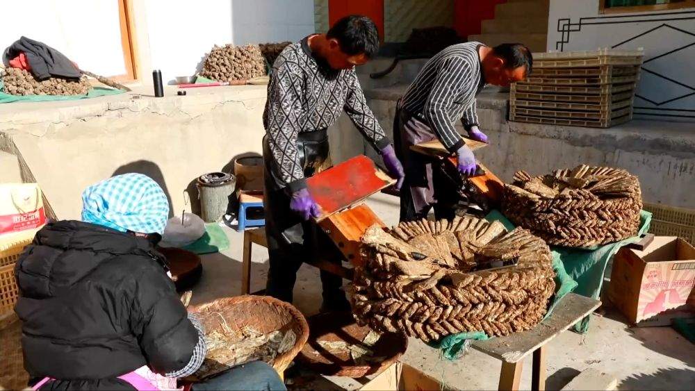 新华视点｜深耕产业提质增效 以创新激活高质量发展新引擎