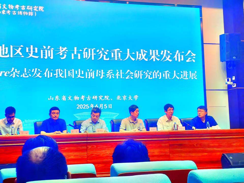 科技考古“开天眼”，4750年前傅家遗址家族内部结构看清楚！