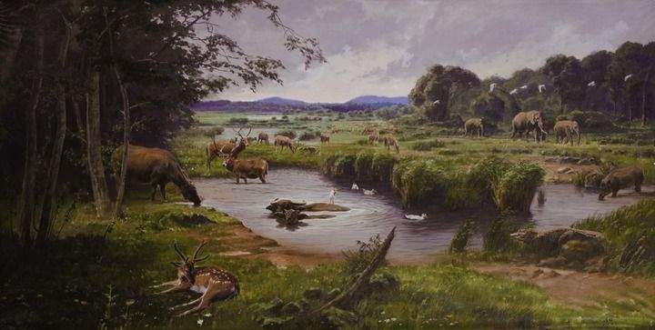 不止是“东海小渔村”！——考古描绘上海六千年史诗画卷