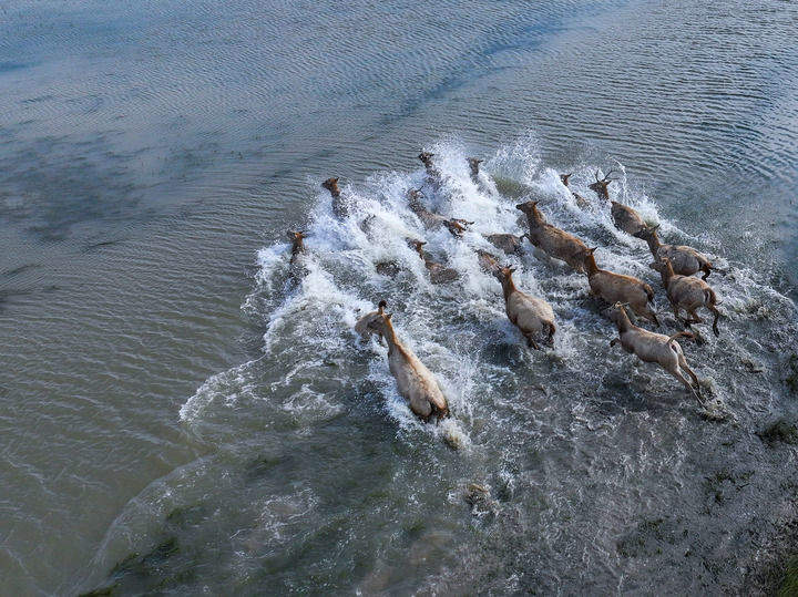 万物“赴”苏竞自由——解码人与自然和谐共生的“江苏样本”