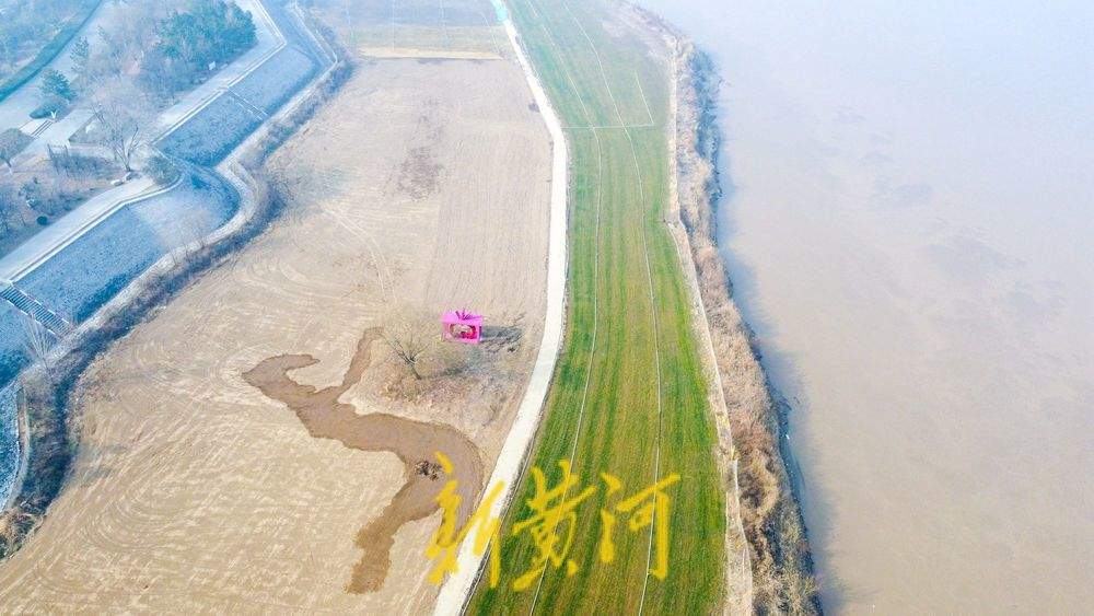 一年四季 泉在济南丨数九寒天草色青 黄河下游淌凌迟