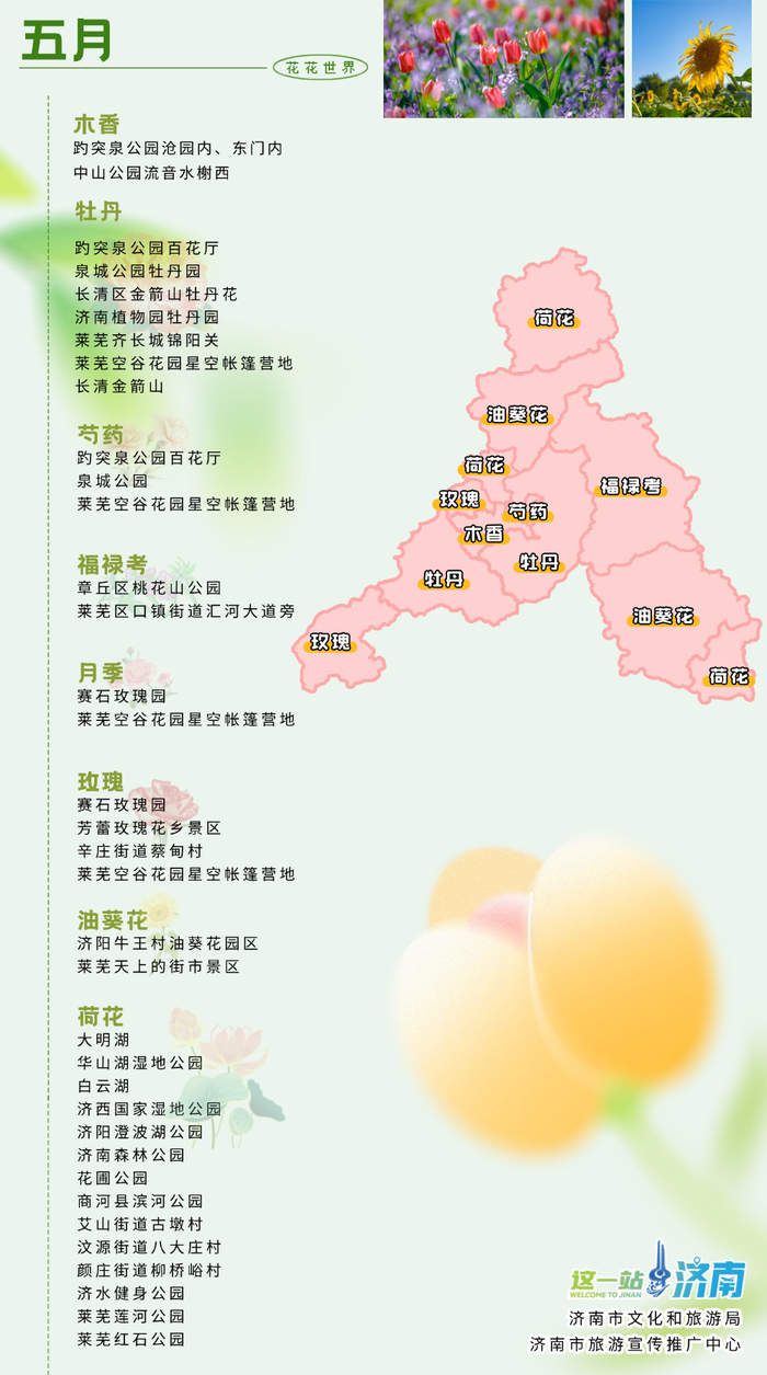 2026《泉城春日追花地图》来了