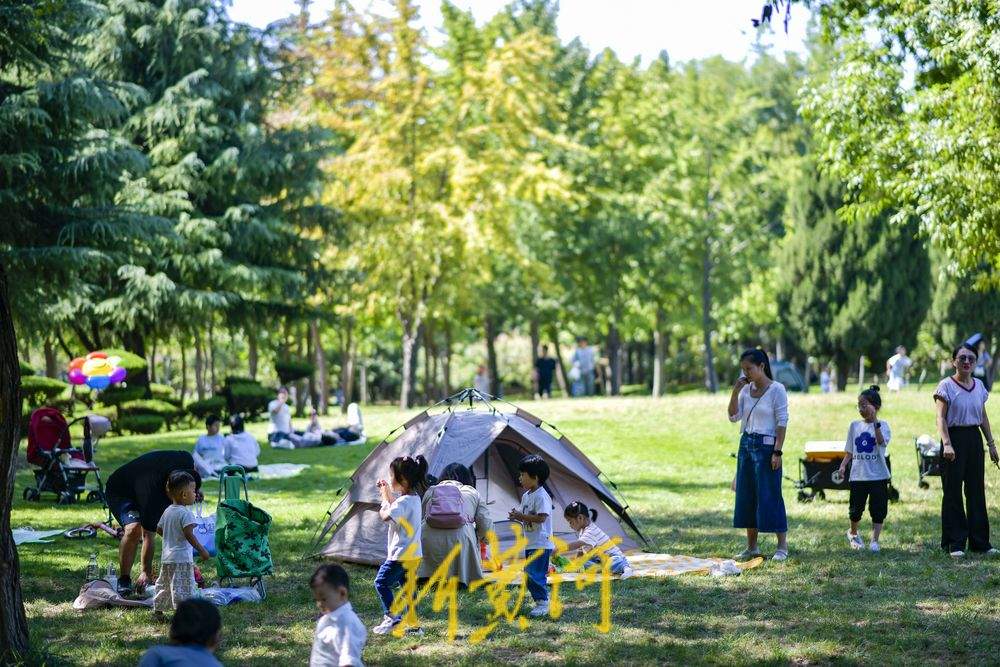 中秋迎来晴好凉爽天，泉城草地重现露营帐篷热