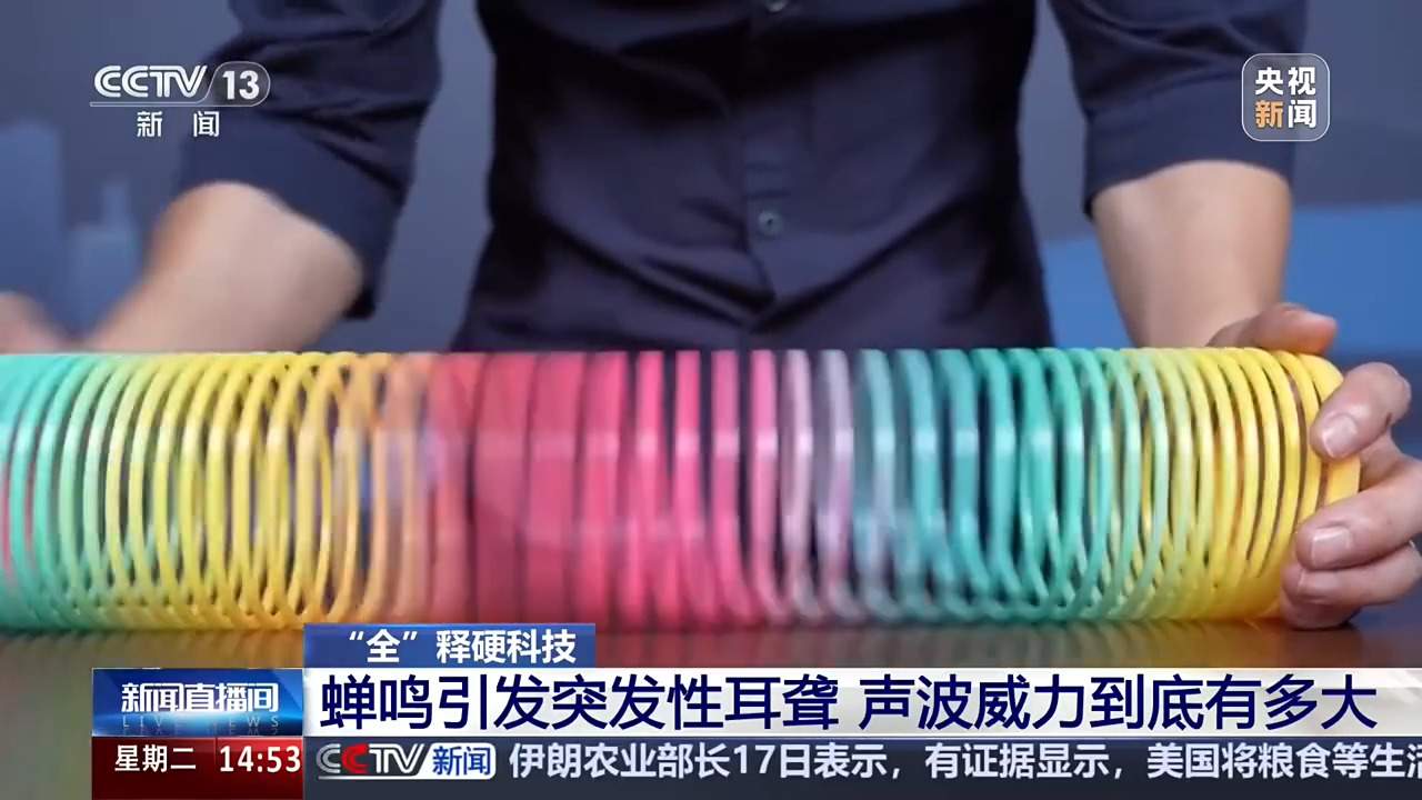 蝉鸣引发突发性耳聋,声波威力到底有多大?