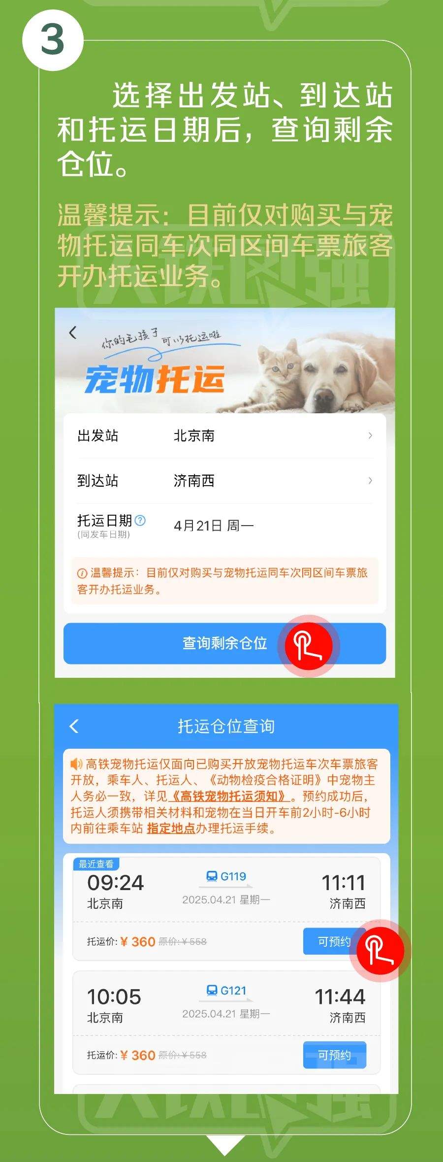 高铁宠物托运，详细指南来了