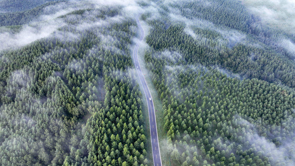 “典”亮人与自然和谐之路！中国第二部法典将诞生