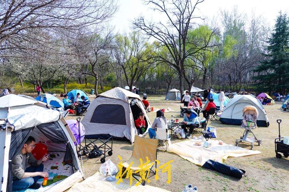 暖阳高照春意满，济南森林公园变身“帐篷乐园”
