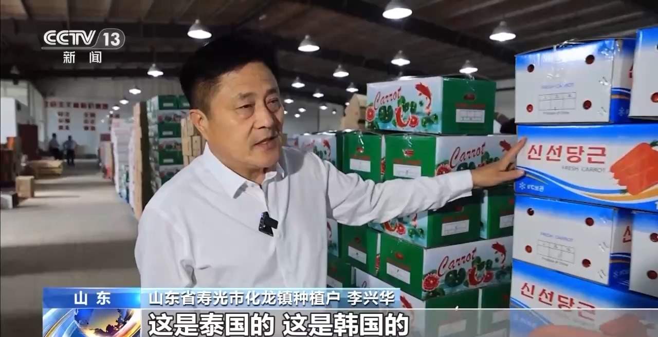 全国种，全球卖，寿光胡萝卜出圈！