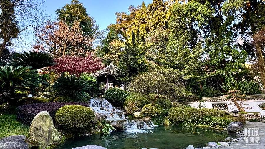 时政新闻眼丨从中法元首会晤的四个“特殊”，读懂大国相处之道