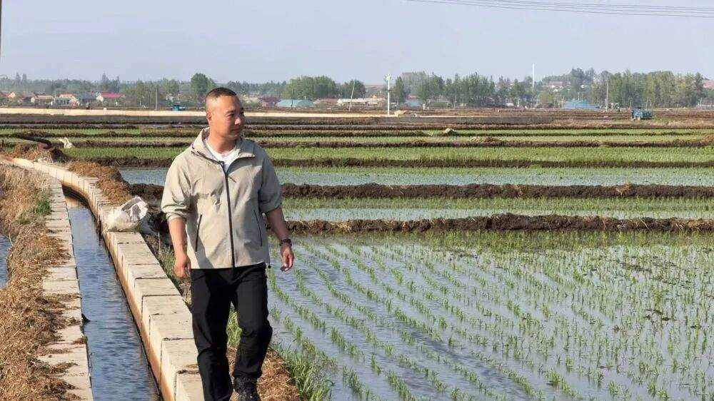 聚力数智赋能 焕新电商未来｜县域电商，把种植棚“搬”进直播间！