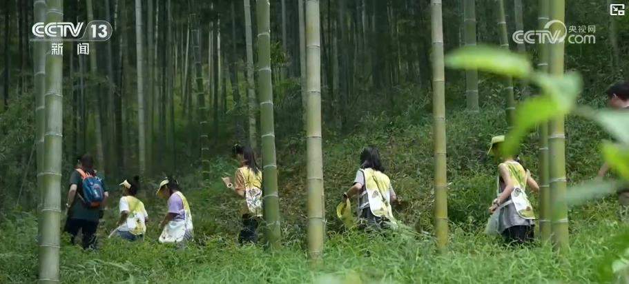 老手艺焕新生 新场景引客来 传统民俗催生消费新增长点