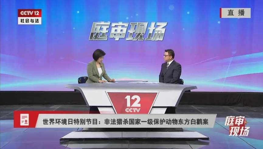 猎杀“鸟中大熊猫”只为饱口福？四男子获刑！