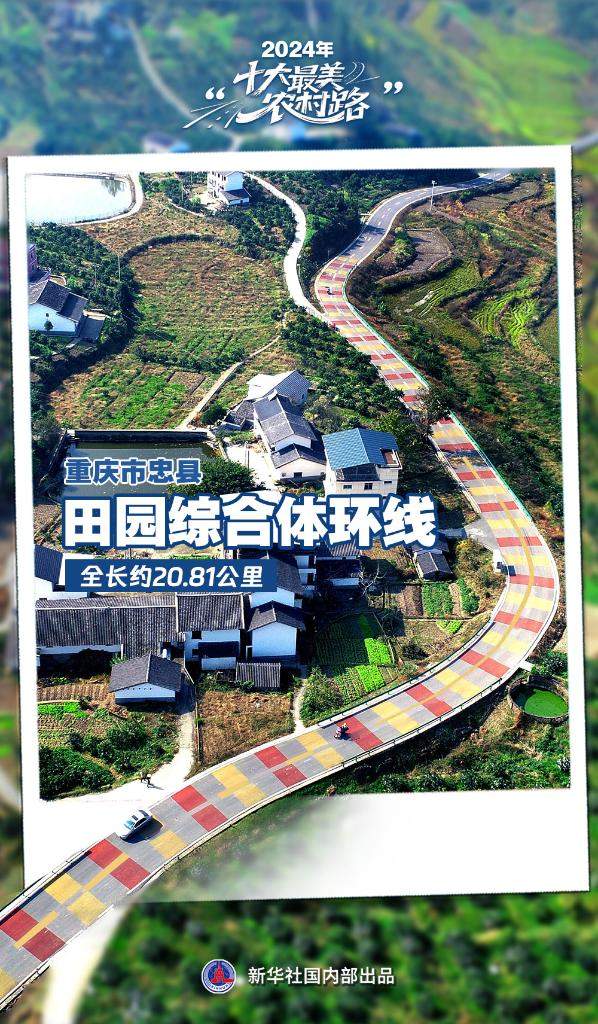2024年“十大最美农村路”公布，一起去看“诗和远方”吧